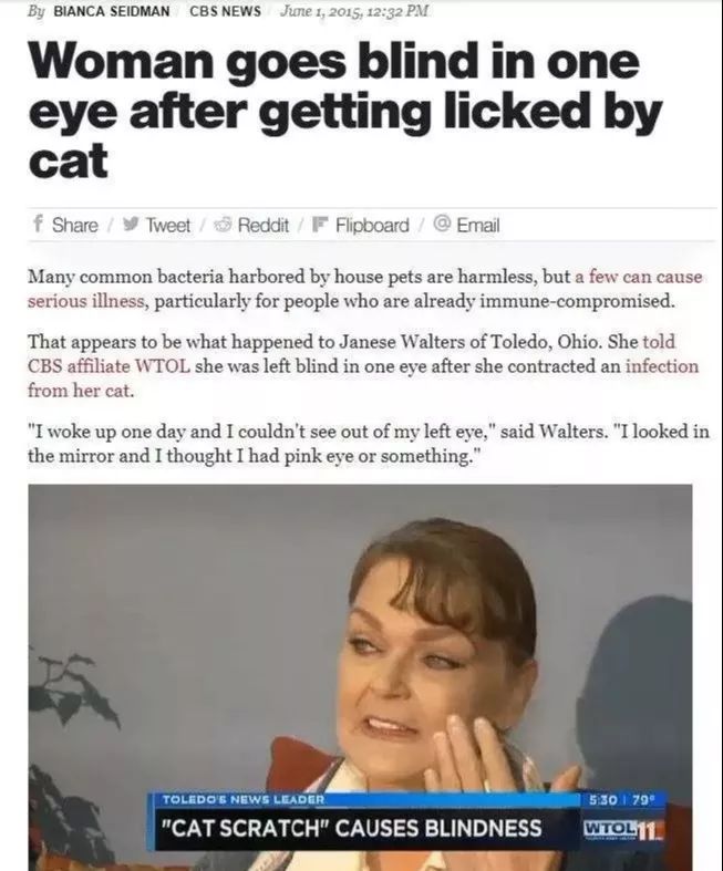 养猫得真菌头癣辟谣,养猫辟谣