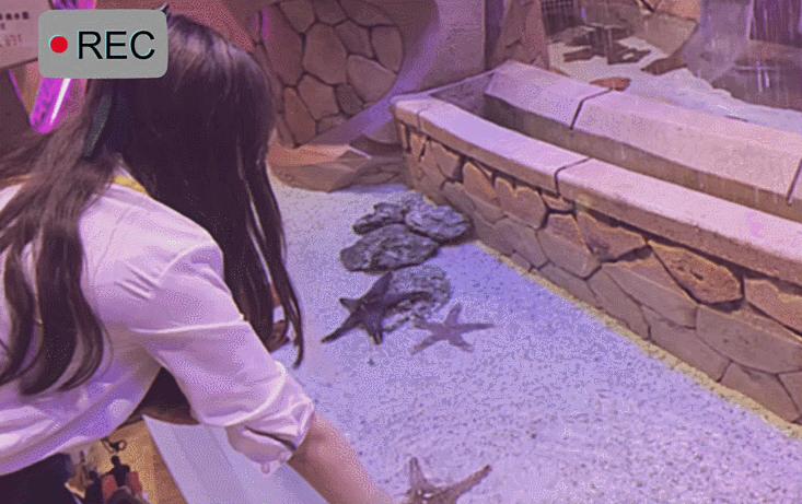 三亚不值得去的地方,三亚不值得去的景点有哪些