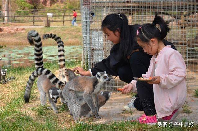 潍坊金宝乐园一日游价格,潍坊金宝乐园旅游攻略