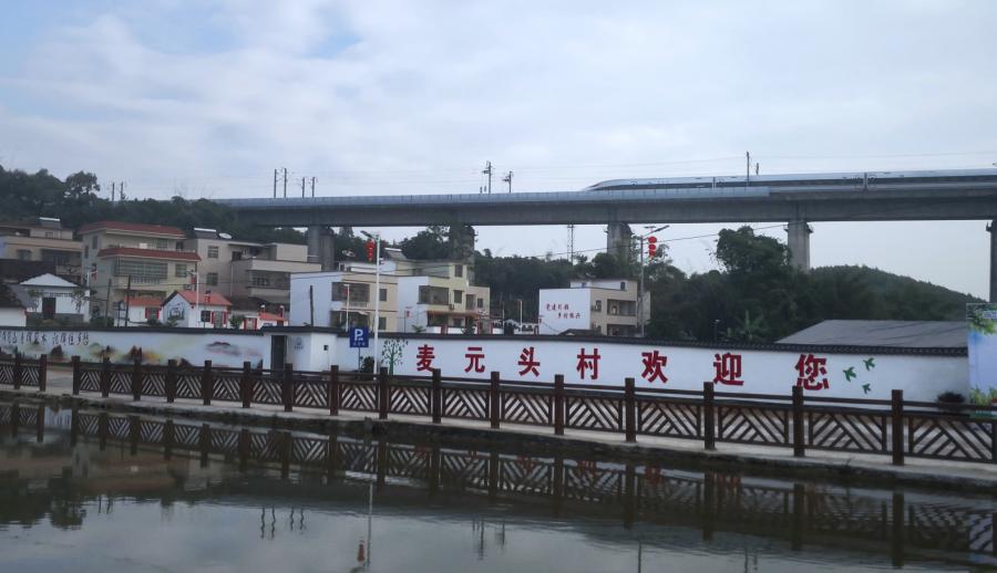 楹﹀厓鎽勫奖,楹﹀厓瑙嗛