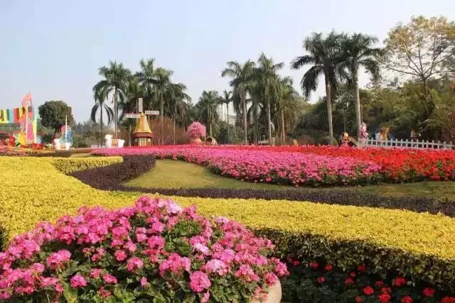 五一广东游玩攻略人少,五一广东免费的旅游景点