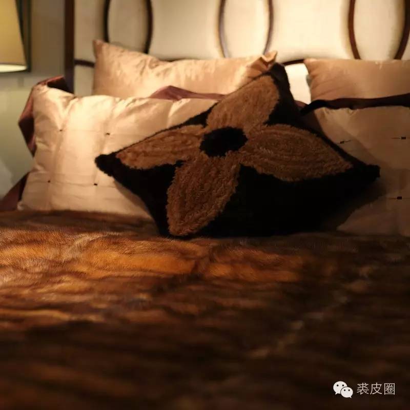 貂中之王紫貂什么颜色,裘中之王是什么意思