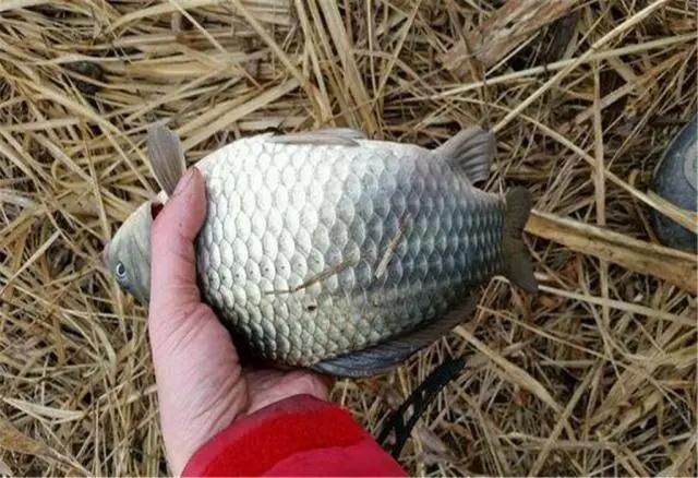 海竿钓爆炸钩钓鱼方法大全,海竿小爆炸钩野钓简单好用