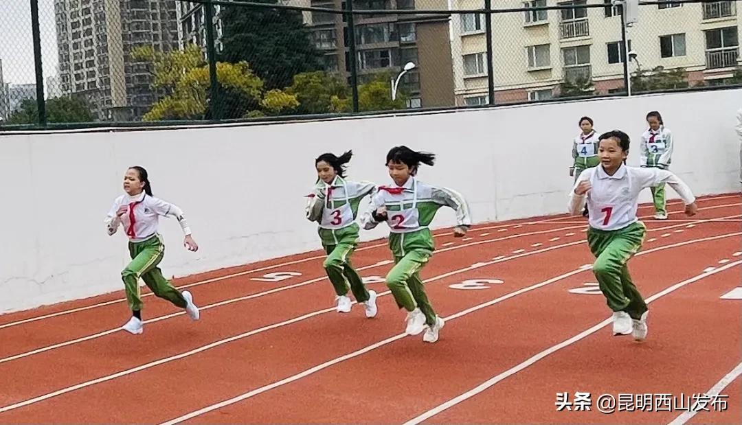 运动健儿在赛场上奋勇拼搏的英姿,奋力拼搏赛出风采