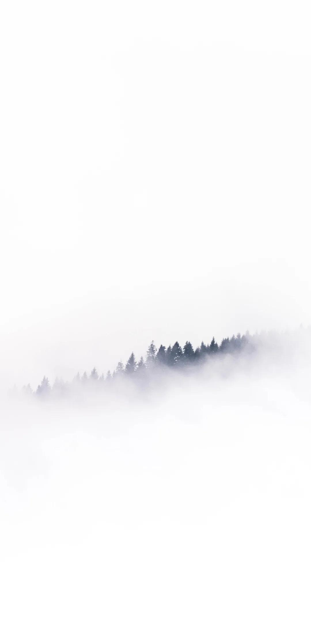 超清浅色系iphone壁纸,浅色系动漫壁纸