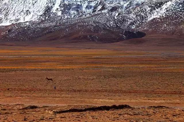 世界上海拔最高的公路！中国最神奇的天路！比川藏线还险10倍！