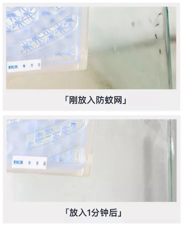日本1亿家庭疯抢隐形蚊帐，超长待机100天，蚊子不进家门