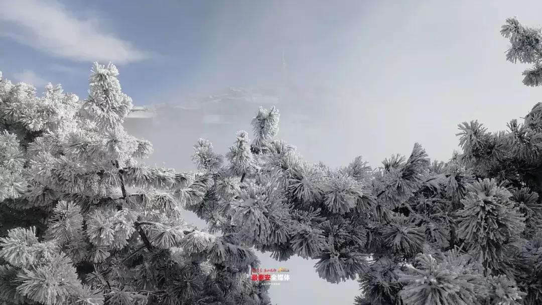 此刻泰山成了雪国，美到无言！高清美图来袭，“雪国的列车”即刻发车！