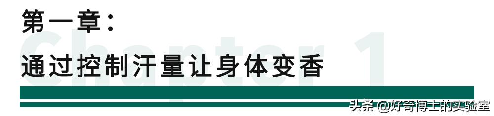 怎么样才可以让身体香香的,怎样让身体有香香的味道