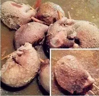 *疆新**也有很多“奇葩”的食物，有的看到反胃，有的念念不忘