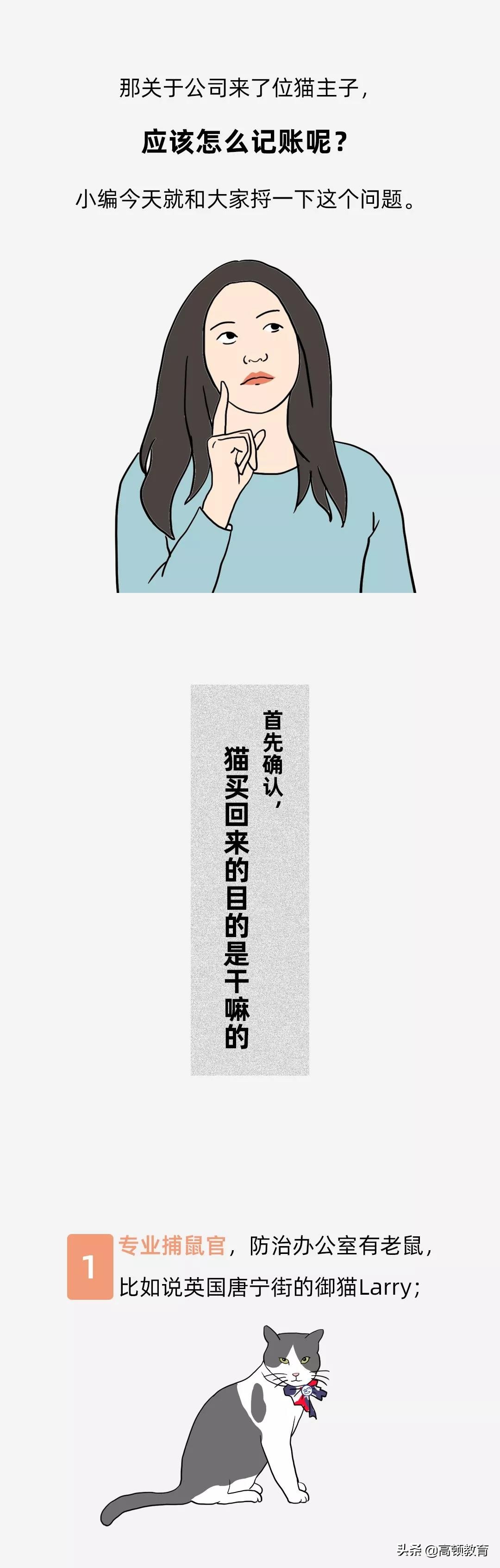 公司养了一只猫怎么记账,公司买的猫怎么入账