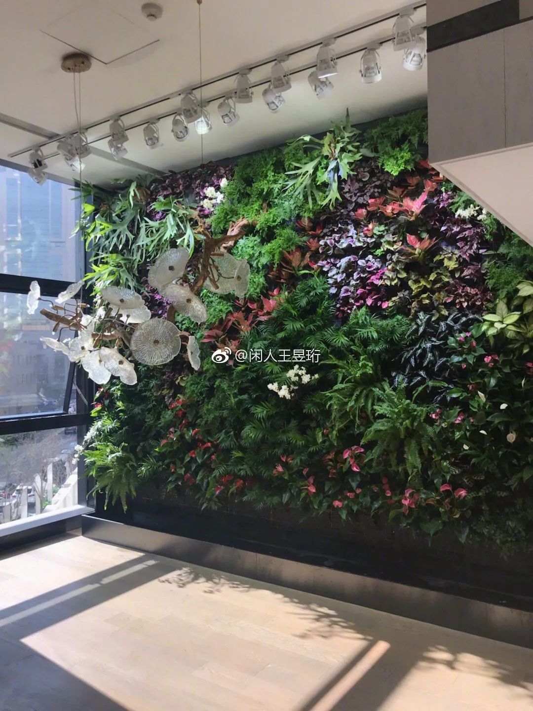 最强大脑王昱珩清华毕业后不上班,王昱珩上学经历