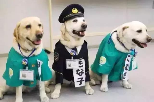 出境游千万别带这些小心被遣返,出国旅行带多少行李不会被遣返