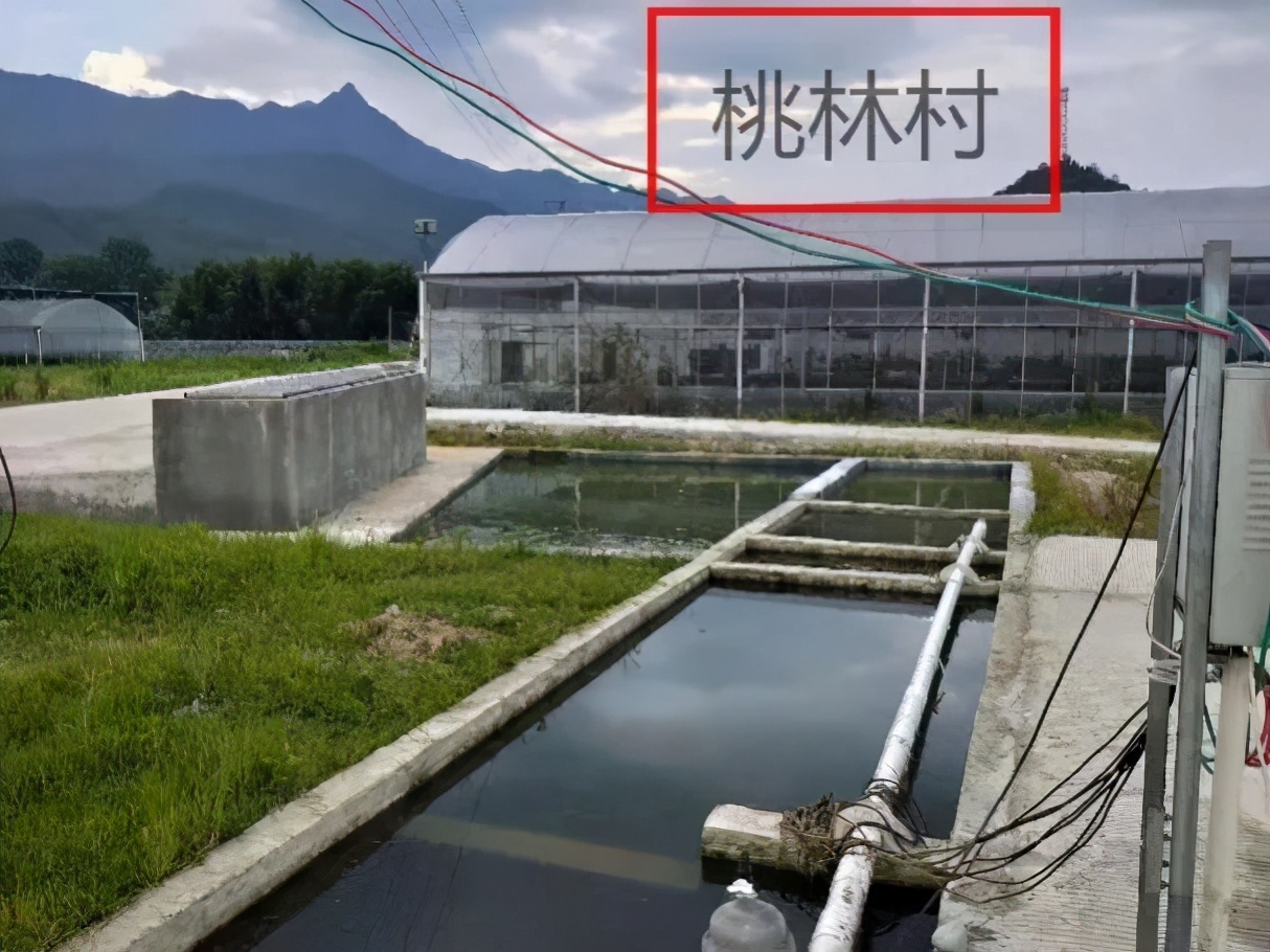 无废城市与环保公益相结合,无废城市主要是减少什么