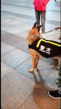 喜欢很久的小哥哥,喜欢了很久的小哥哥