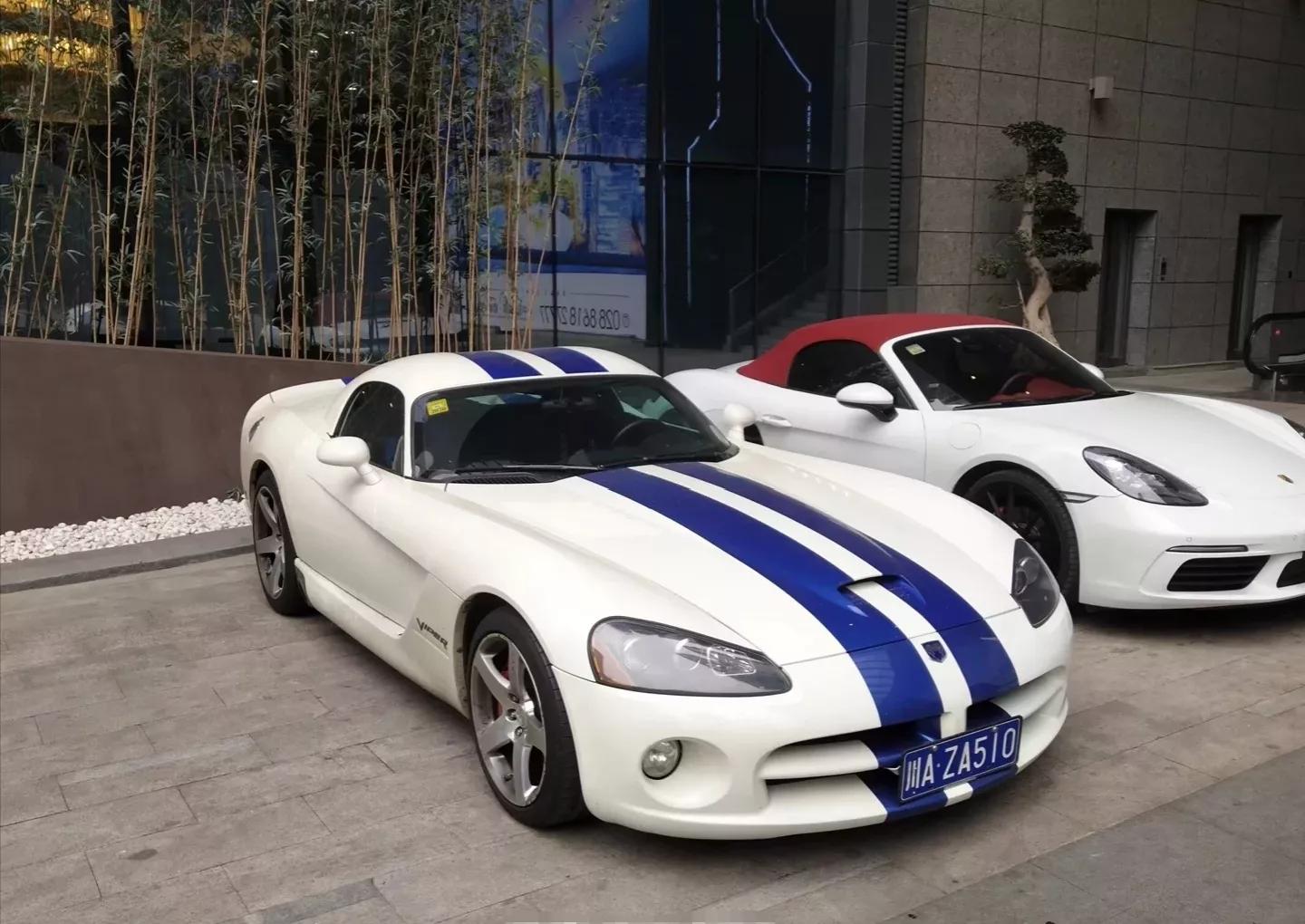 稀有蛇有哪些,道奇蝰蛇被称为什么