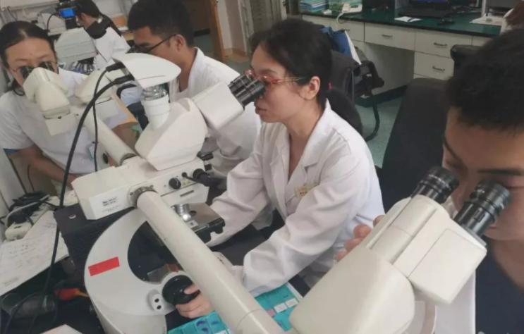 学医怎么选科室,学医如何选科