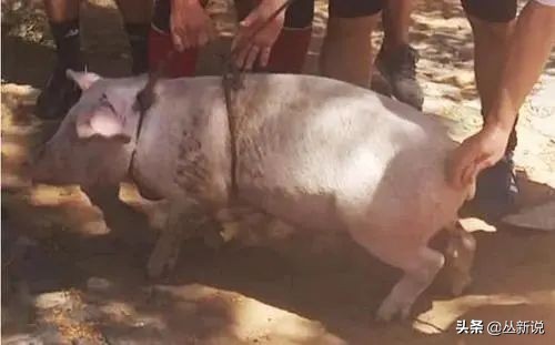 小罗监狱玩足球,小罗监狱足球队