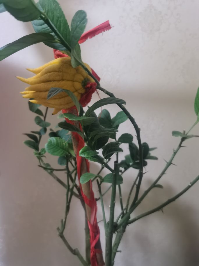 佛手柑做菜的方法,佛手柑怎么做成凉果