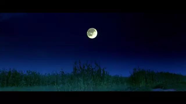 莫言饥荒描写,莫言山东高密东北乡