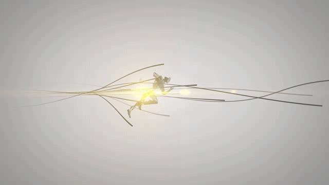 麦斯特体育,麦斯特体育文化有限公司