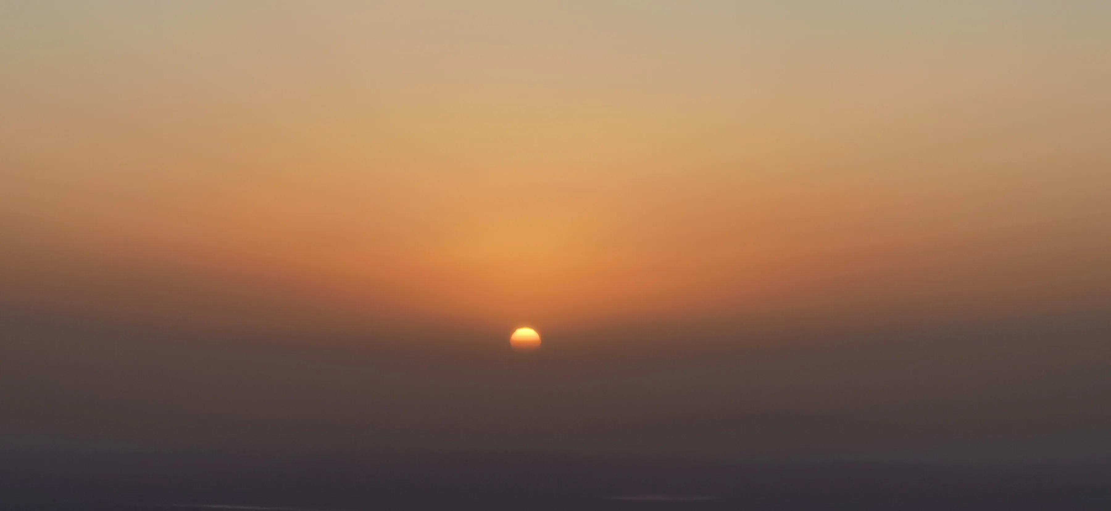 朝花夕拾中狗猫鼠的温馨回忆,狗猫鼠朝花夕拾