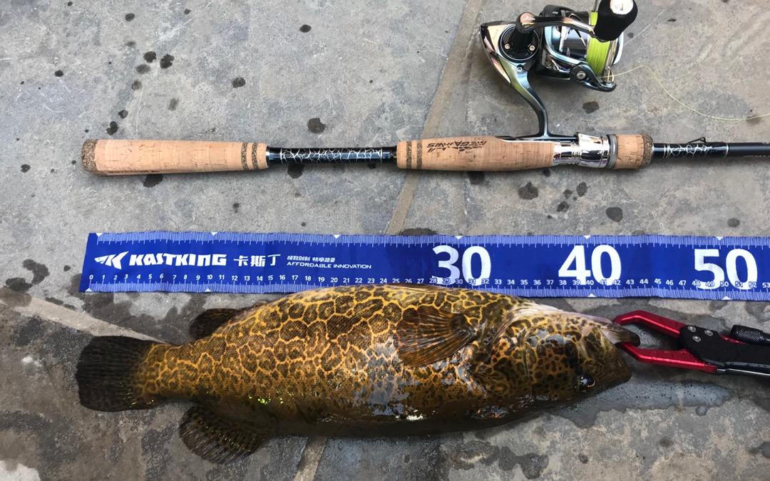 「渔获名人堂周榜」这两位粉丝钓友，你们太牛了