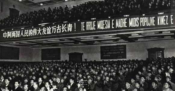 60年代阿尔巴尼亚人民军,阿尔巴尼亚人民军陆军编制