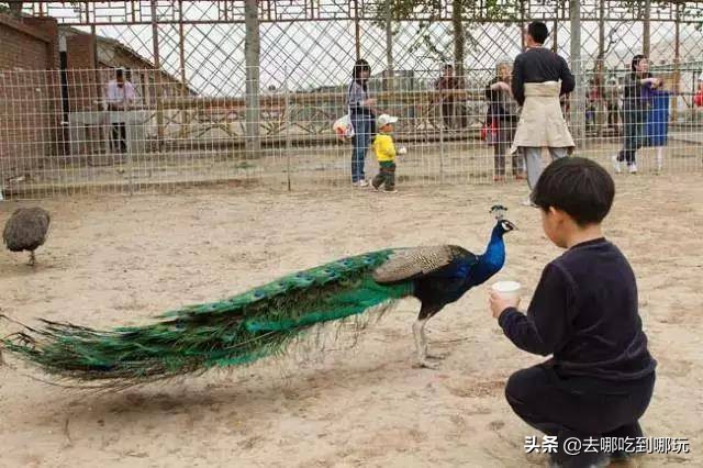 69.9抢惠州罗浮山漂流门票89元抢漂流门票+空中田园