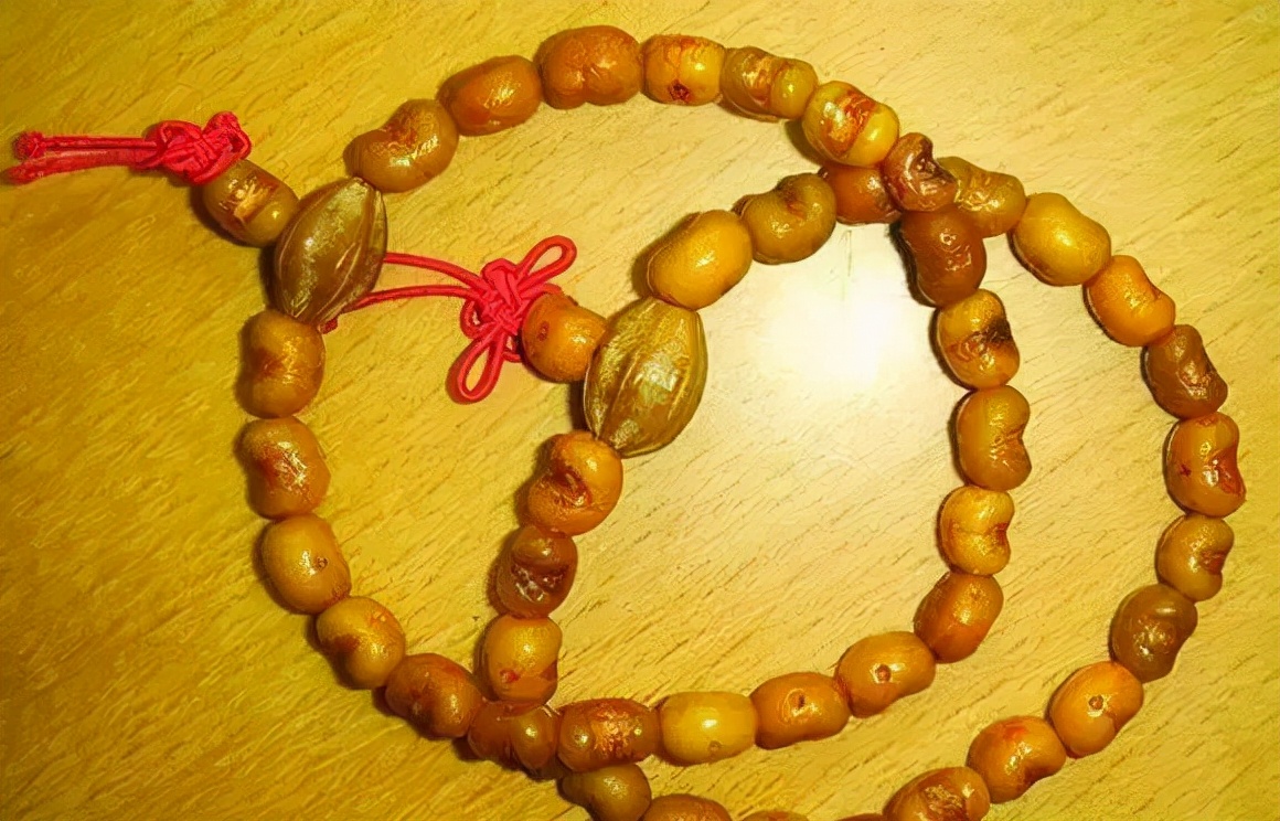 冷门菩提图片大全,比较少见的菩提