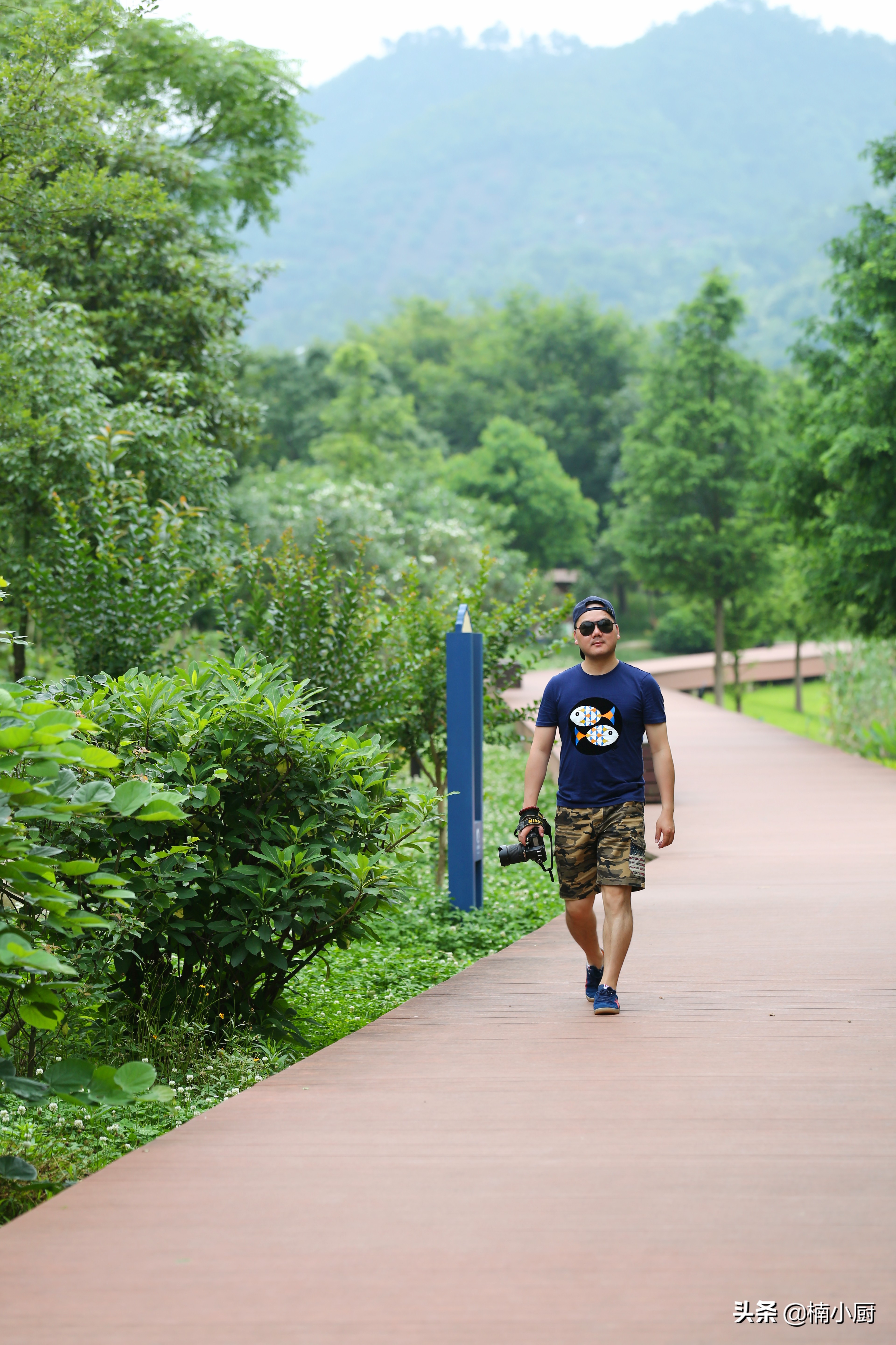宁波旅游东钱湖,旅行宁波