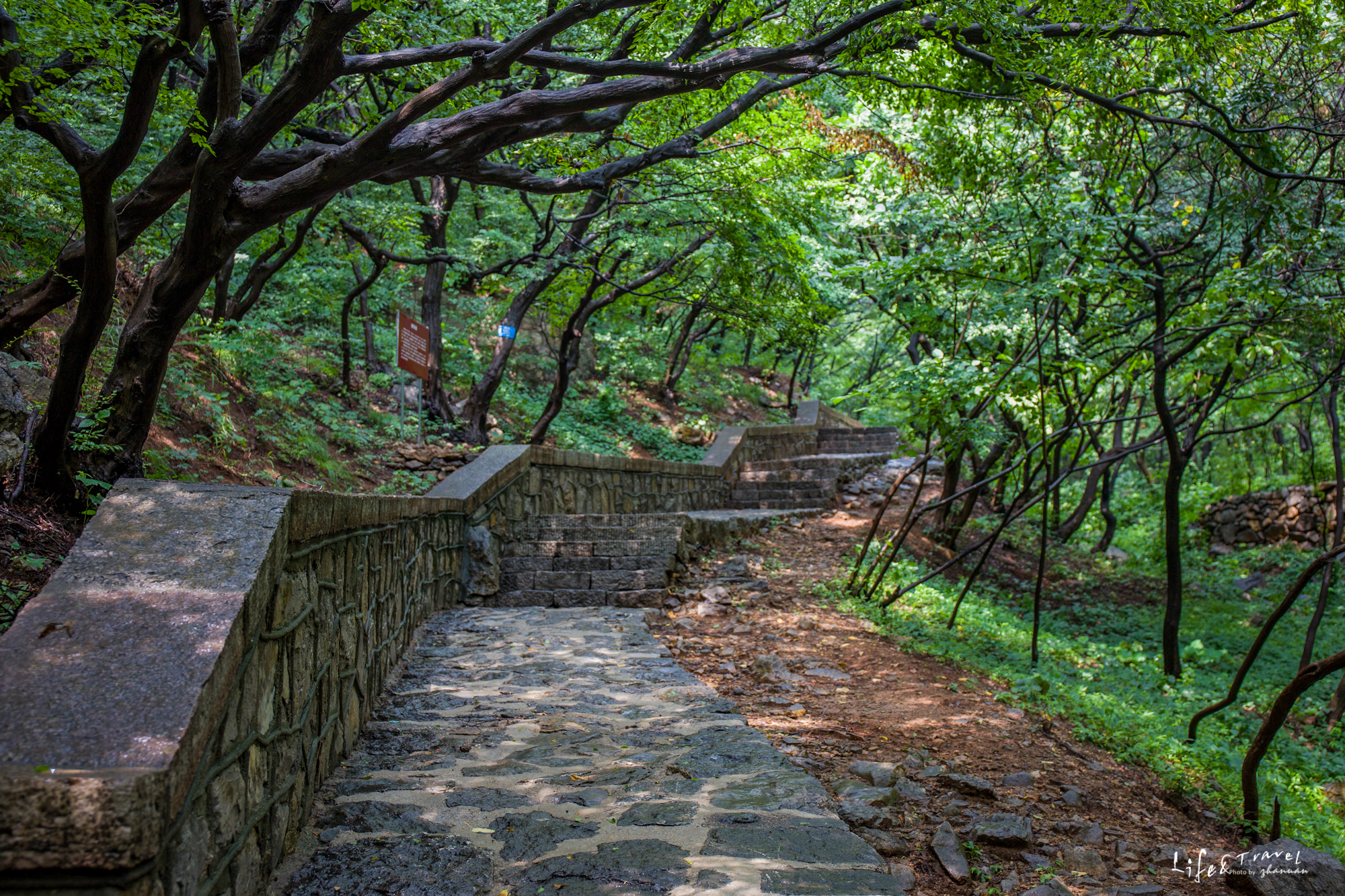 淄博看红叶的免费景点,淄博看红叶不用爬山的免费景区