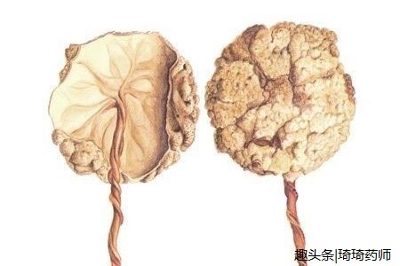 胎盘可以美容养颜吗,美容养颜胎盘真的有用吗