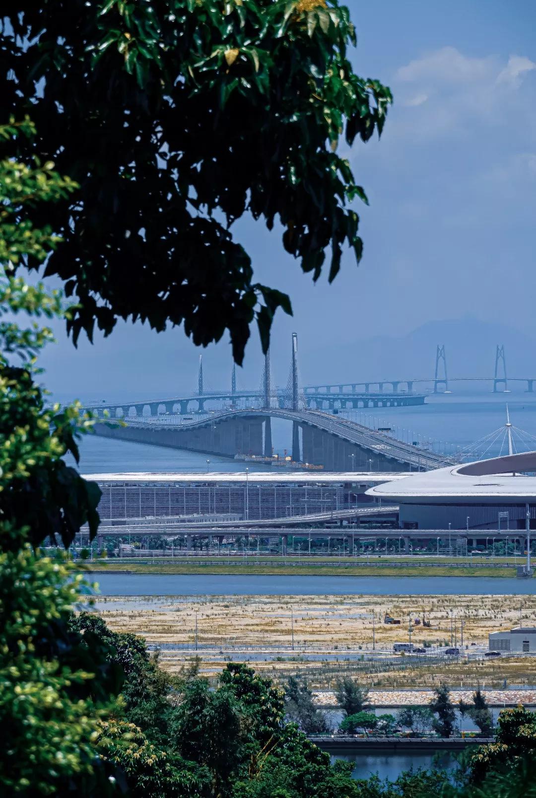 澳门流金岁月,澳门回归20周年视频素材