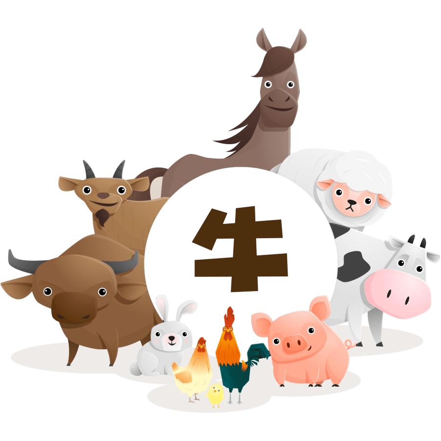 说文解字第3讲,说文解字第三篇