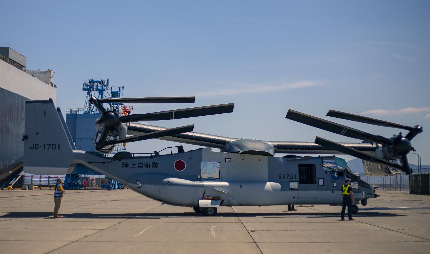 日本小的弊端：“鱼鹰”没处放！佐贺县：忙着养紫菜呢，明年再说