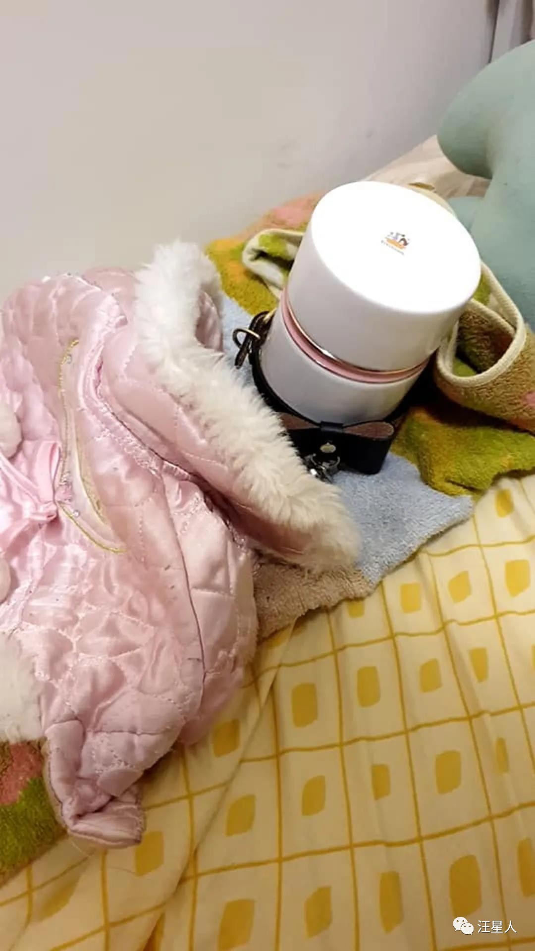 狗狗心脏病突发死亡需要多长时间,11岁的狗狗死了