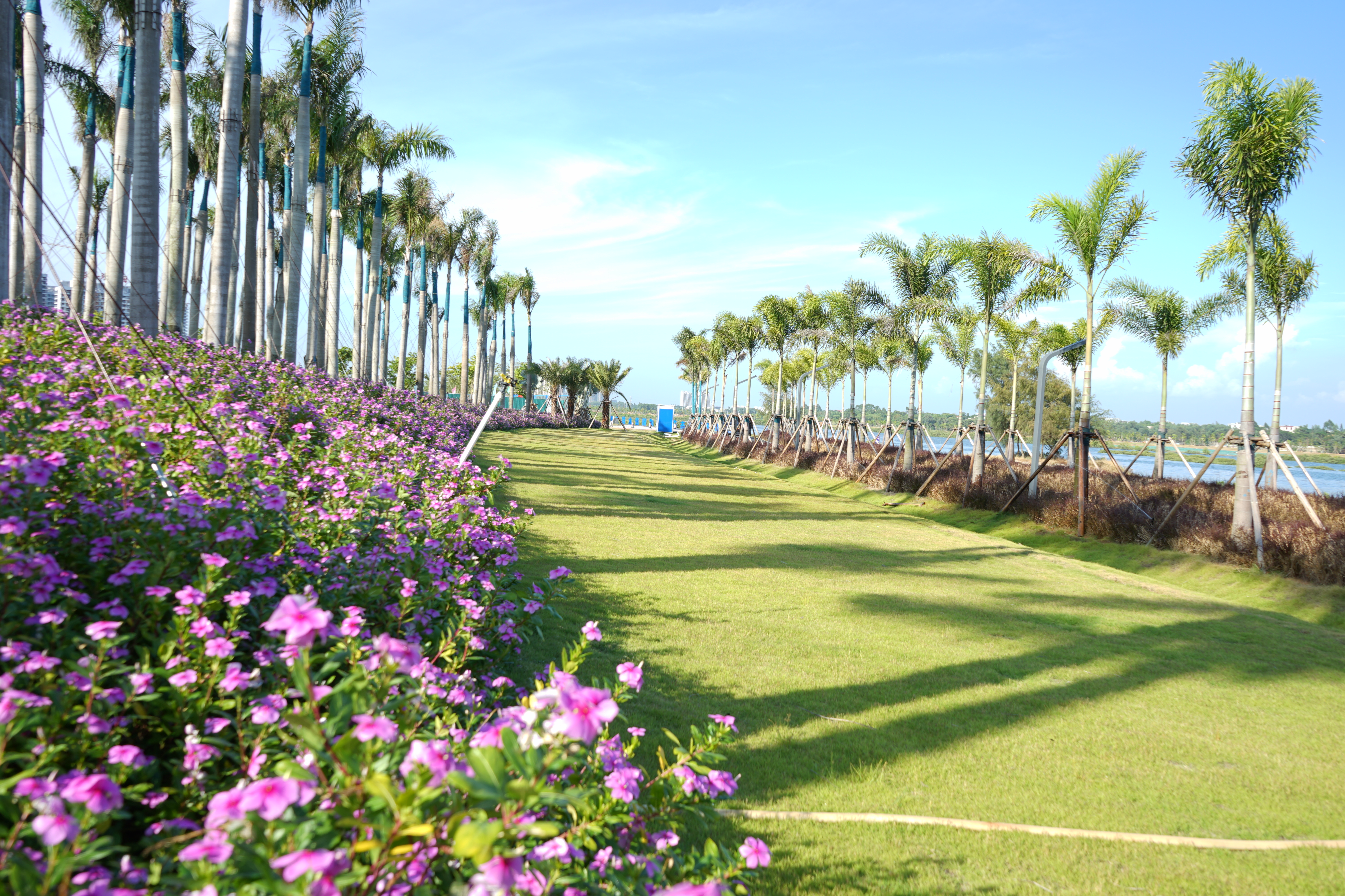 北海新的风景区,北海新建的公园