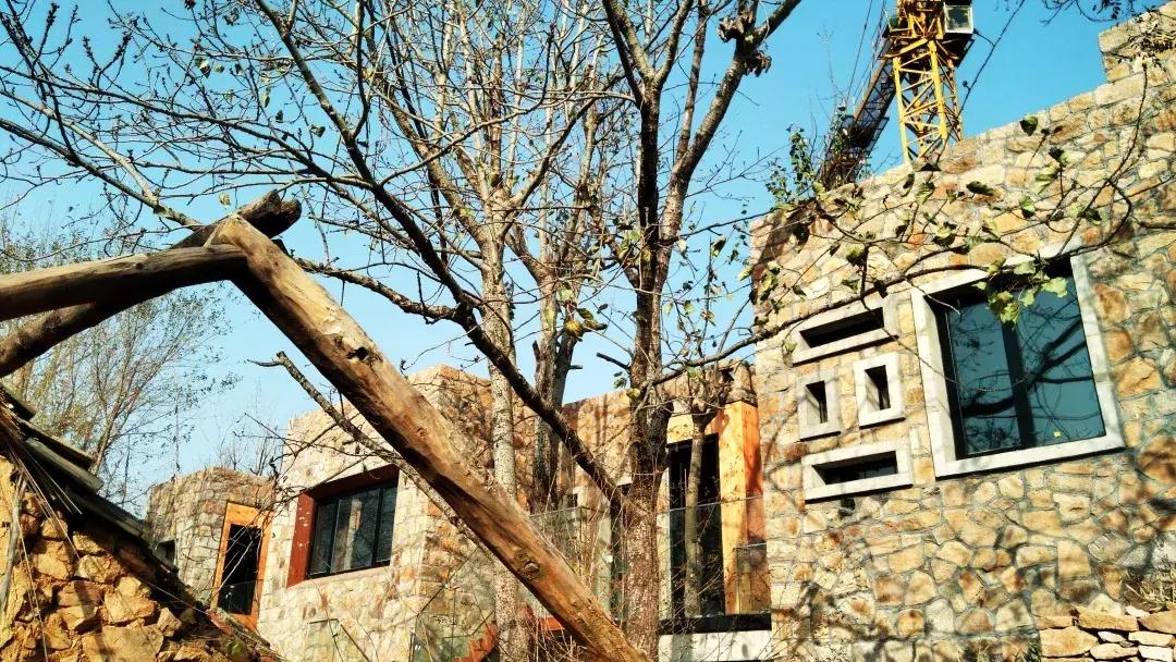 凤凰措古村落,凤凰措古村落设计