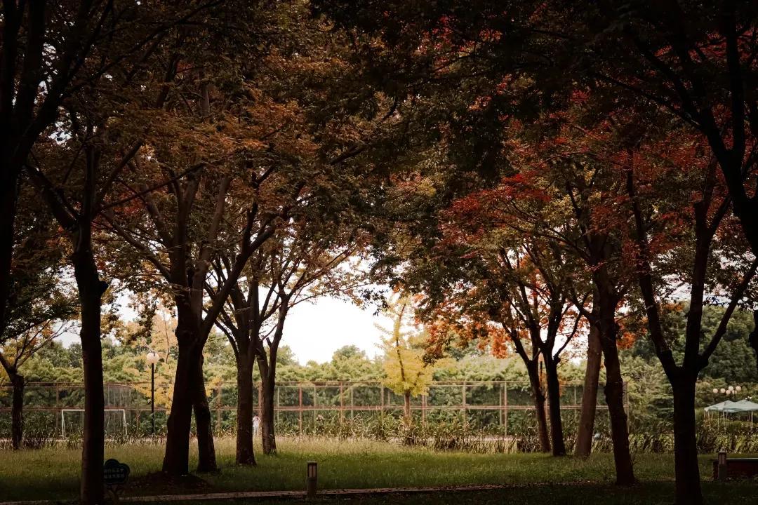 江苏省高校(六十六)苏州大学应用技术学院