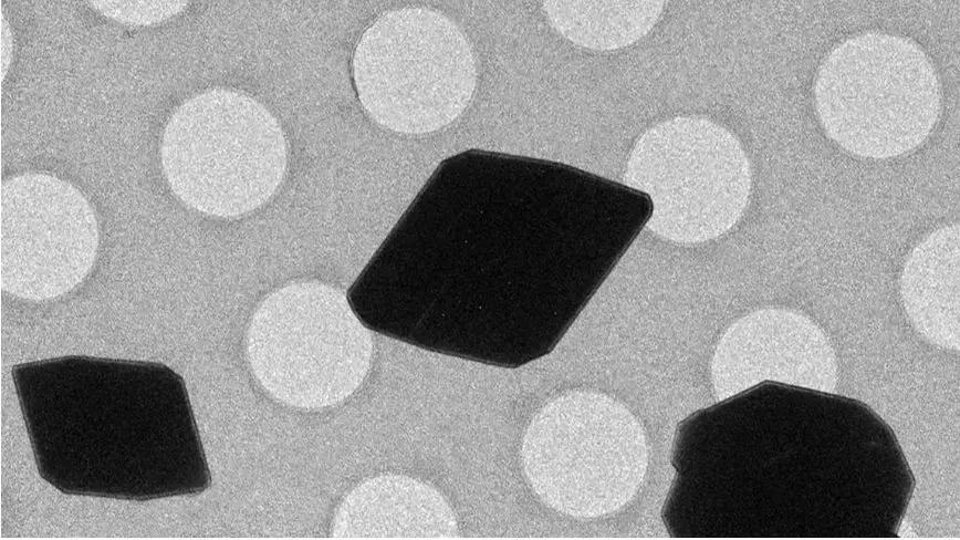science十大科学突破,science2017全球十大科学突破