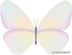 新加坡香奈儿代言人,新加坡首位被环球签约艺人