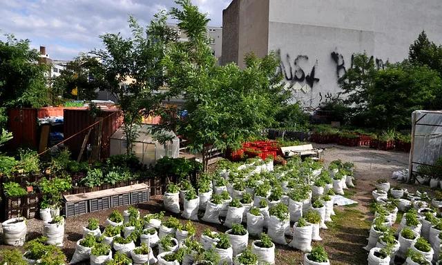 农庄餐饮怎么经营赚钱,怎么经营农家乐卖菜生意