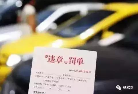 了解点法律小知识,了解一下新交规