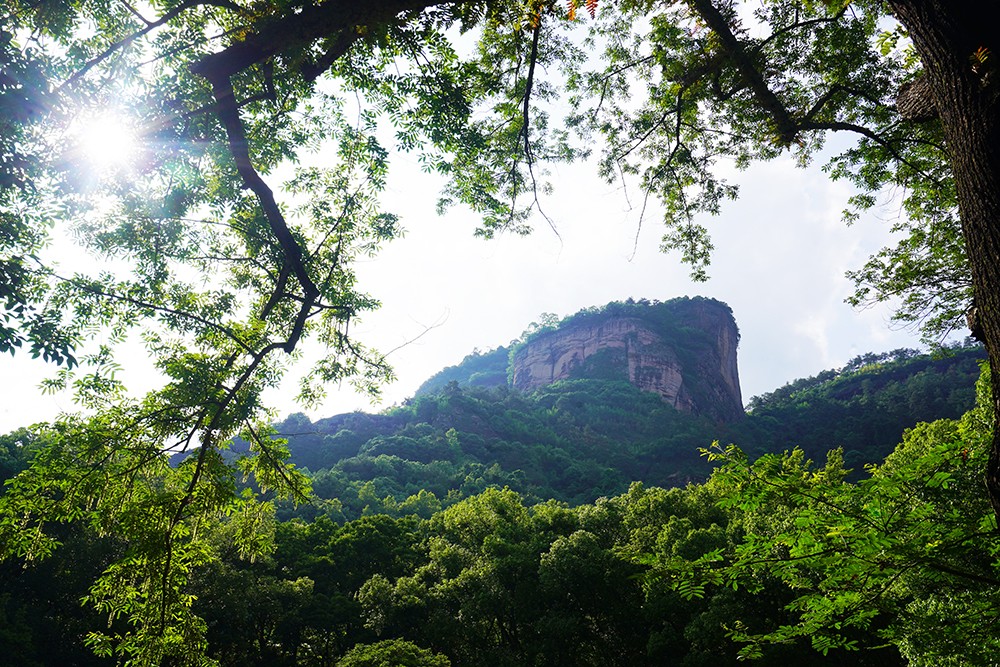 武夷山嘉元千禧度假酒店实拍,武夷山千禧酒店对比悦华酒店