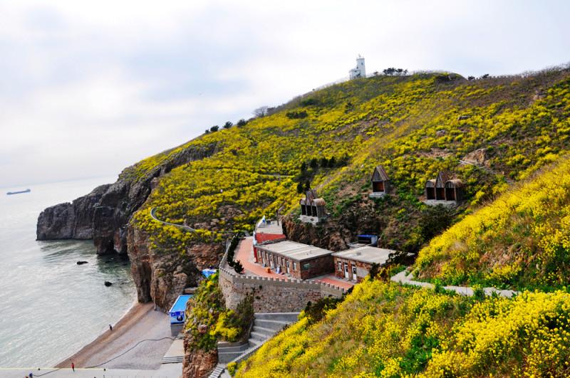 荣成海驴岛海鸥,荣成海驴岛的由来