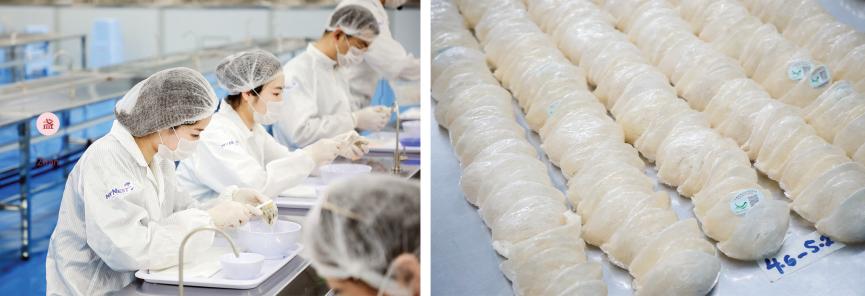 印尼燕窝和马来西亚燕窝的区别,印尼燕窝和马来西亚的燕窝哪个好