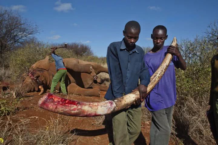 15岁怀孕,她被骗吃下*药炸**,一尸两命:有些人,这辈子不配为人
