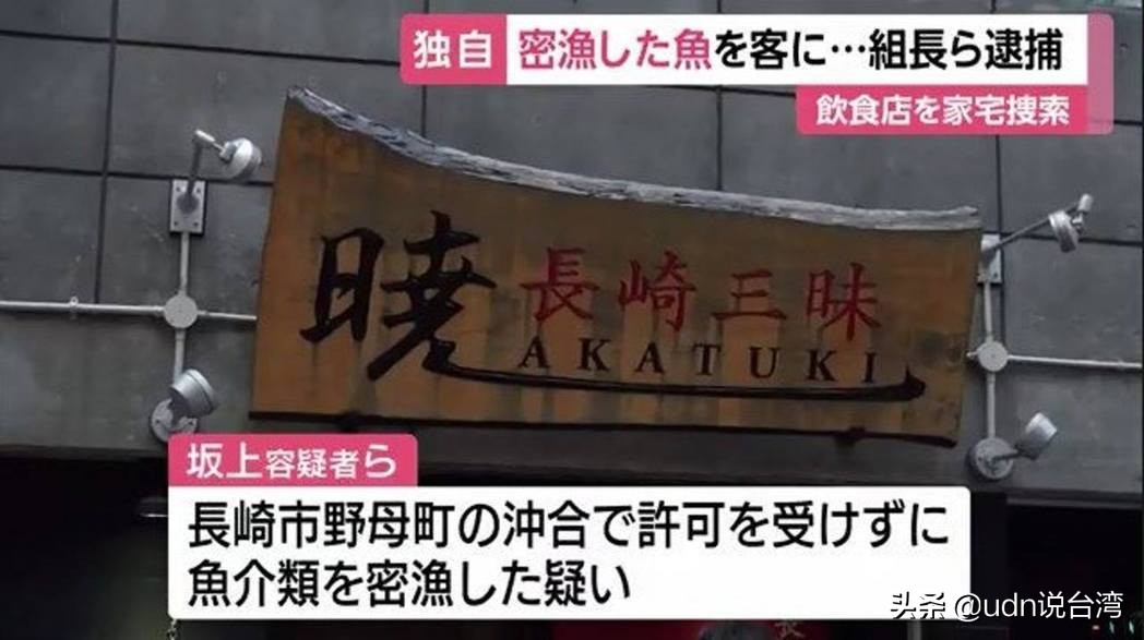 生鱼片与*力暴**团：日本非法“密渔”的暗黑餐桌