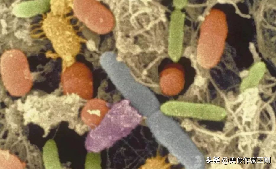 冰箱平时如何保持干净,冰箱健康知识